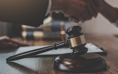 Frankowicze Kamień Pomorski – czy można tu wygrać z bankiem?